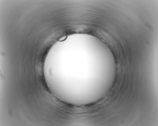 X0000091350510200708101039