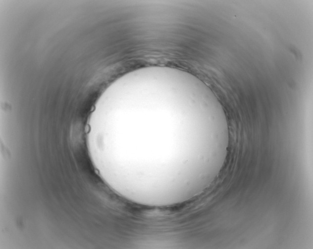 X0000091350511200708101039