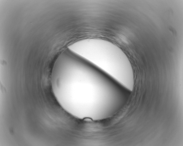 X0000091350515200708101039