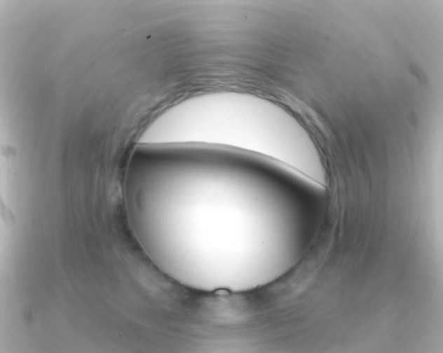 X0000091350517200708101039
