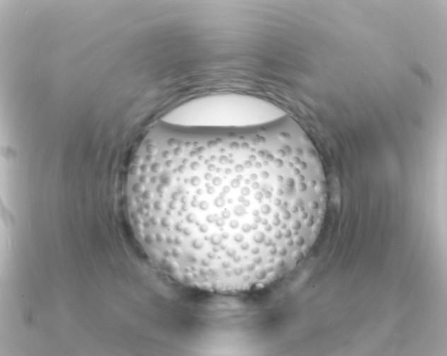 X0000091350519200708101039