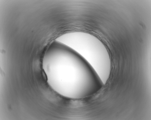 X0000091350520200708101039