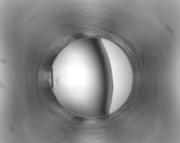 X0000091350521200708101039