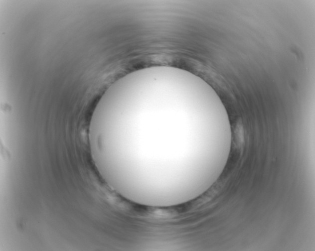 X0000091350522200708101039