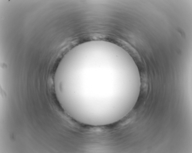 X0000091350523200708101039