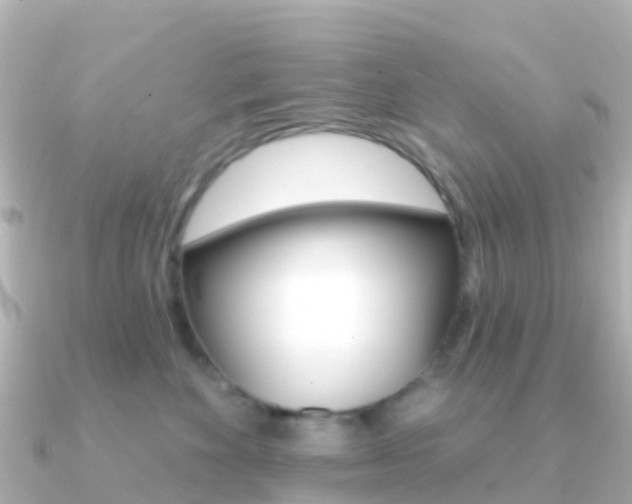 X0000091350524200708101039