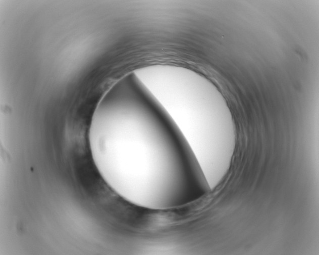 X0000091350525200708101039