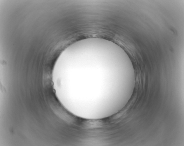 X0000091350526200708101039