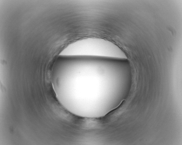 X0000091350528200708101039