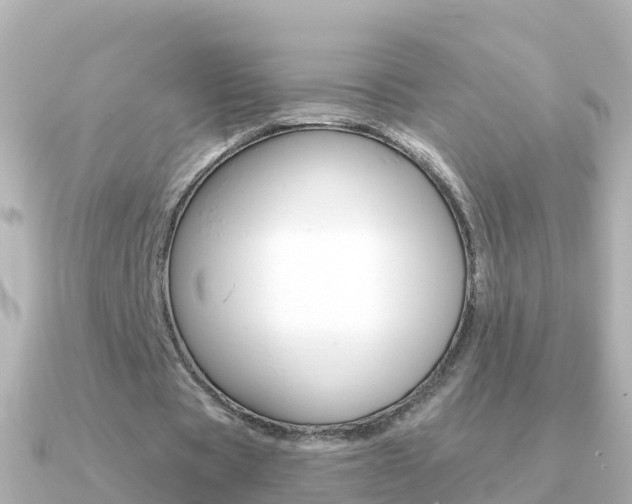 X0000091350529200708101038