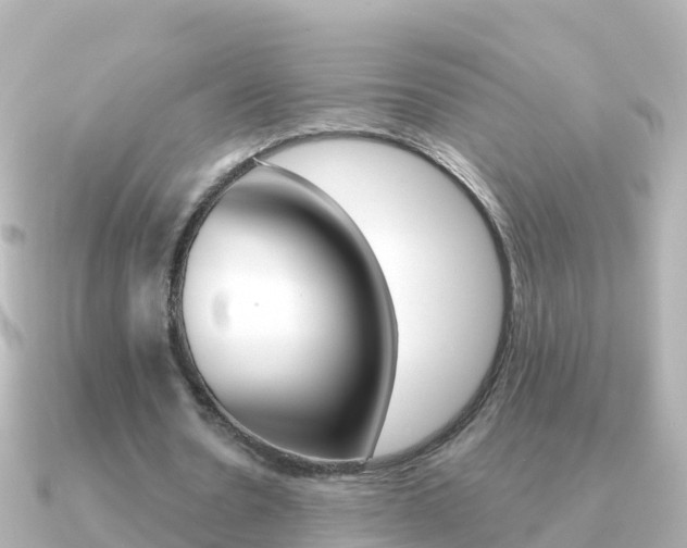 X0000091350530200708101038