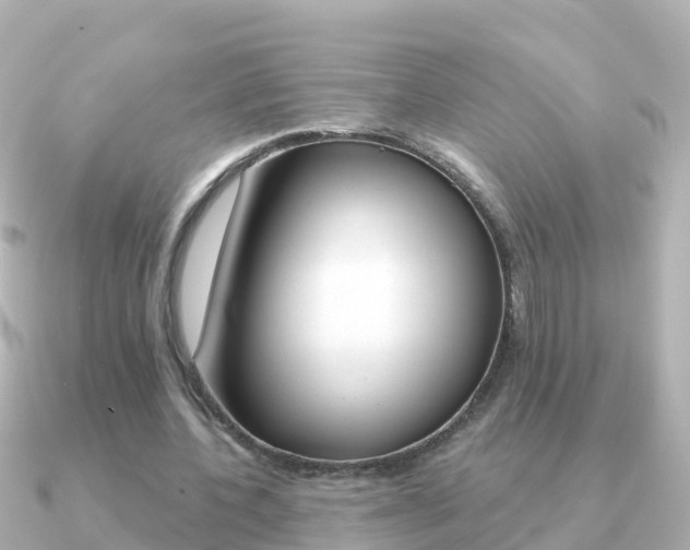 X0000091350532200708101038