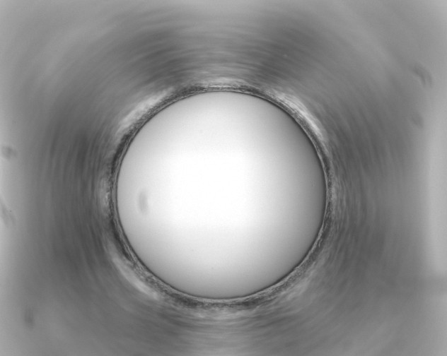 X0000091350533200708101038