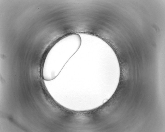 X0000091350534200708101039