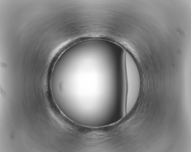 X0000091350536200708101039