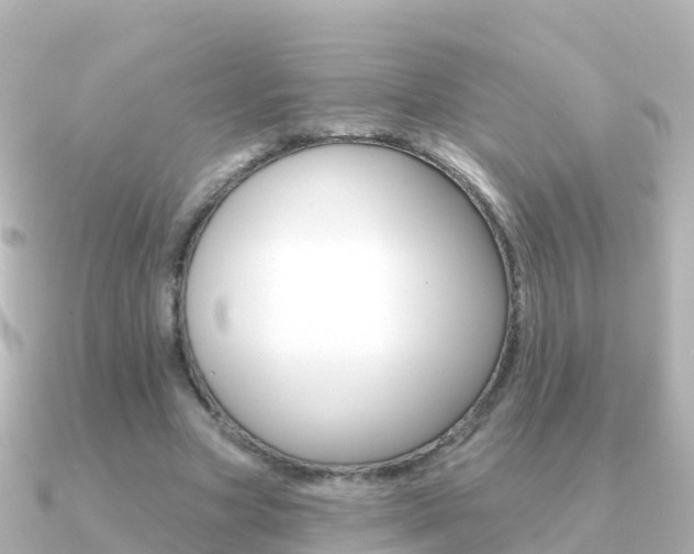 X0000091350537200708101039