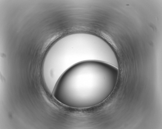 X0000091350538200708101039