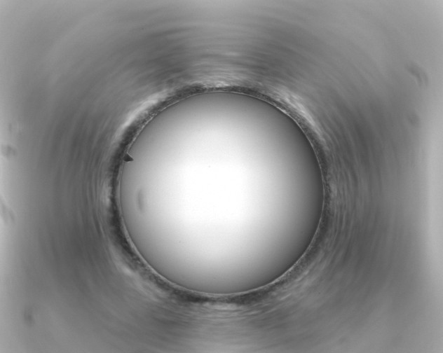 X0000091350539200708101039