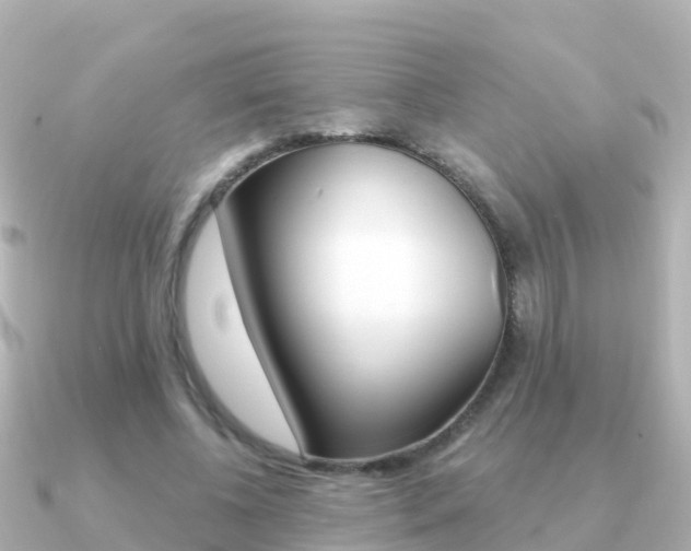 X0000091350540200708101039