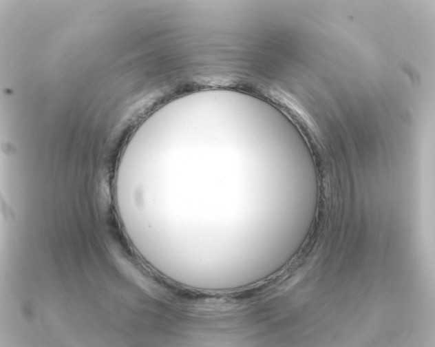 X0000091350541200708101039