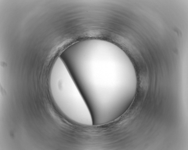 X0000091350542200708101039