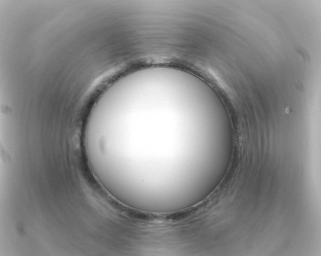 X0000091350543200708101039