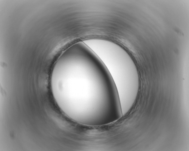 X0000091350544200708101039