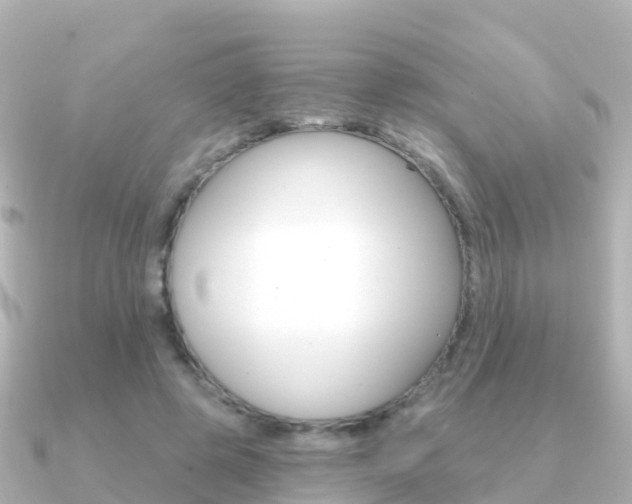 X0000091350545200708101039