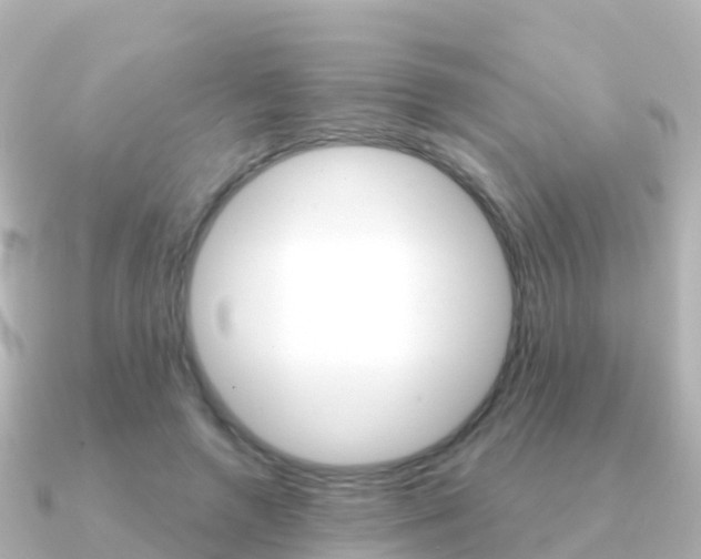 X0000091350546200708101039