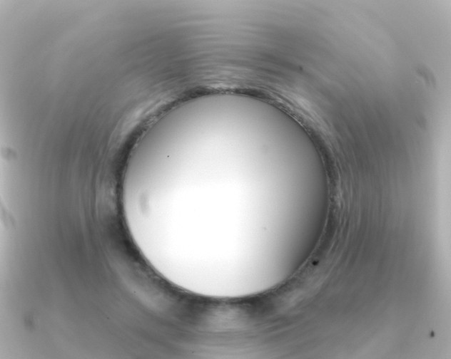 X0000091350547200708101039