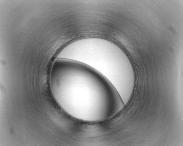 X0000091350548200708101039