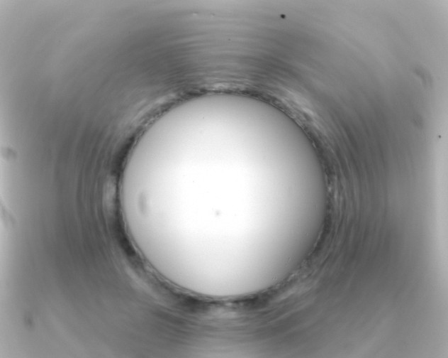 X0000091350550200708101039