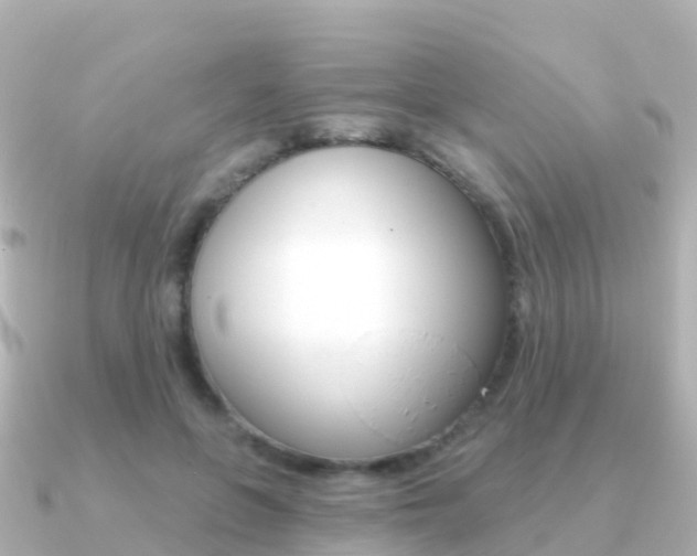 X0000091350551200708101039
