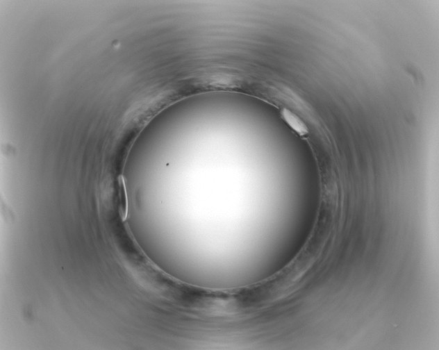 X0000091350552200708101039