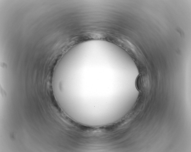 X0000091350553200708101039