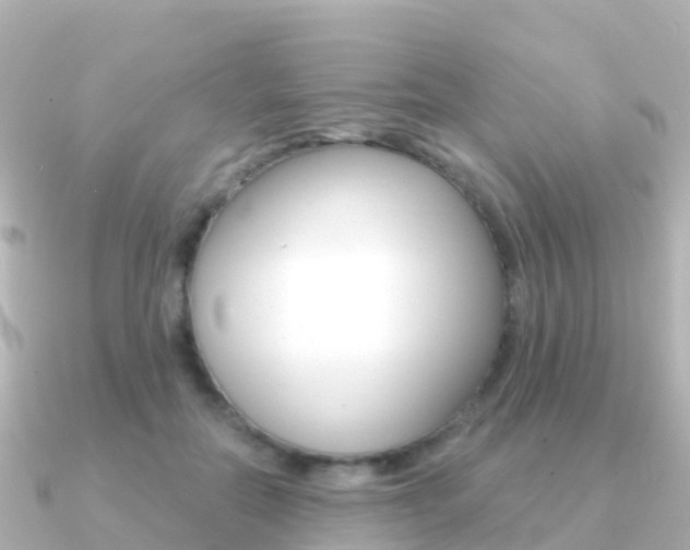 X0000091350554200708101039