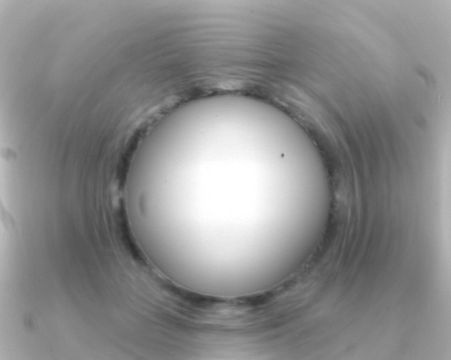 X0000091350555200708101039