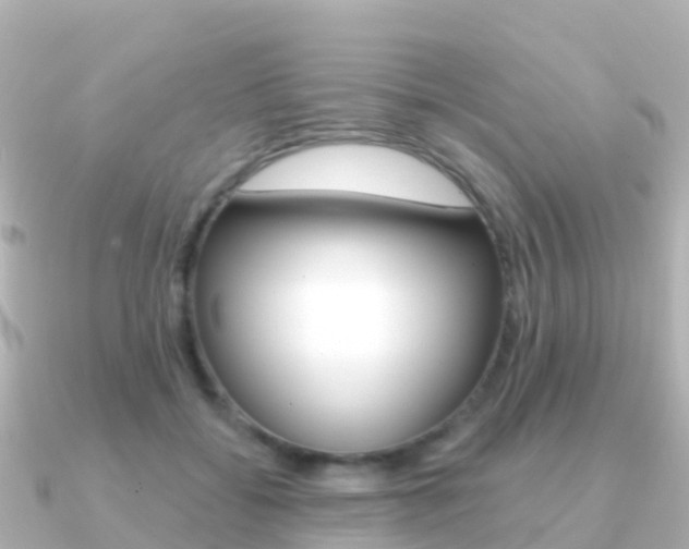 X0000091350556200708101039