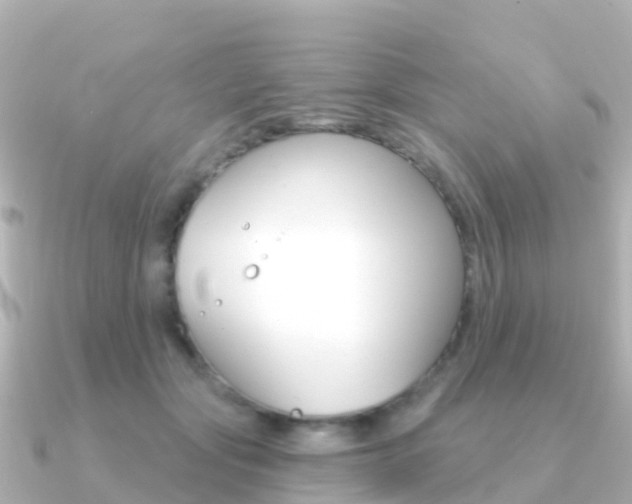X0000091350557200708101039