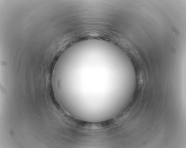 X0000091350559200708101039