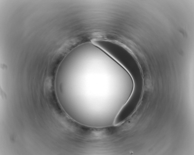 X0000091350560200708101039