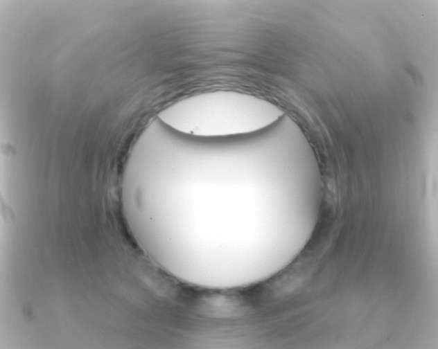 X0000091350561200708101039