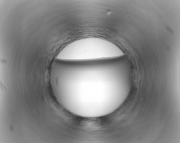 X0000091350563200708101039