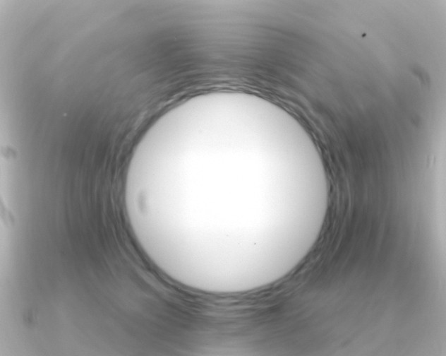 X0000091350564200708101039