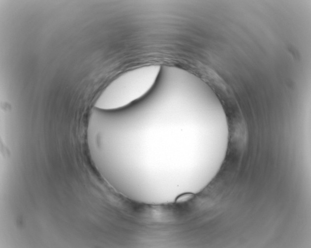 X0000091350565200708101039