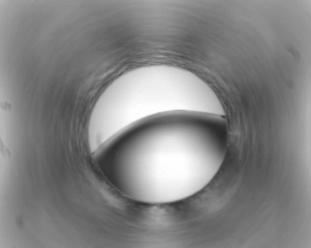 X0000091350566200708101039