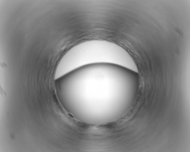 X0000091350568200708101039