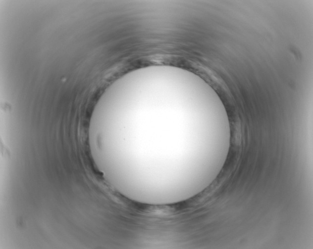 X0000091350569200708101039