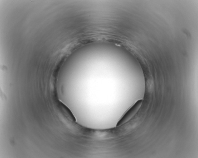 X0000091350570200708101039