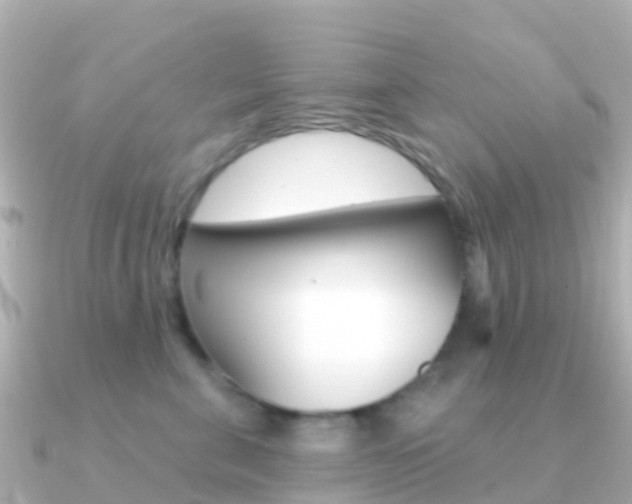 X0000091350571200708101039